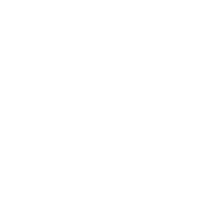 icon1
