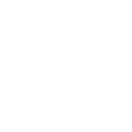 icon3
